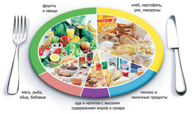 борменталь похудение скачать бесплатно